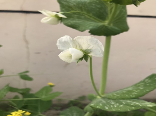 节能产品认证